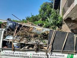 Professional Junk Removal Services in Susanville, CA